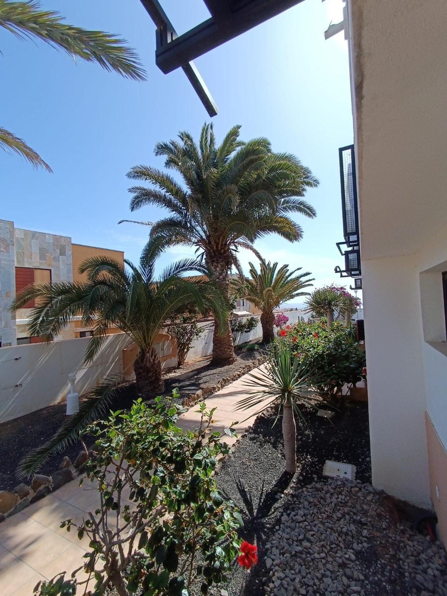 Apartment Reload Complex Amaya Fuerteventura Costa De Antigua
